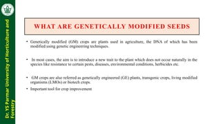 Modified Seeds Genetically modified seeds and the regulation | PPTX