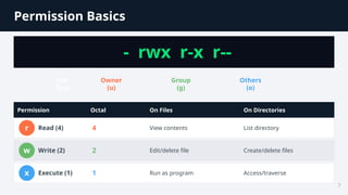 Linux User and Permission Management Explained for Certification ...