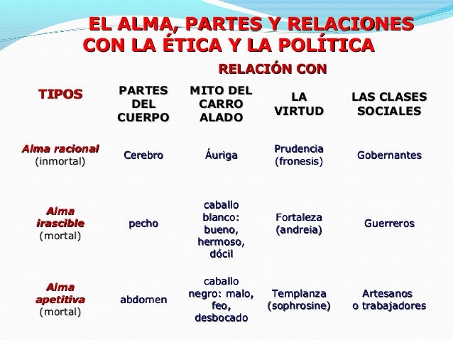 Ppt 3