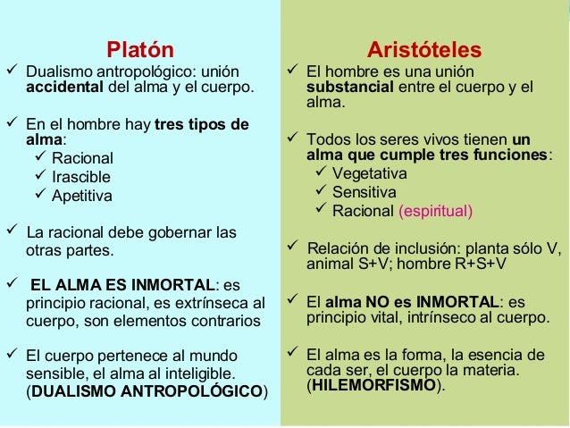 Ppt 3