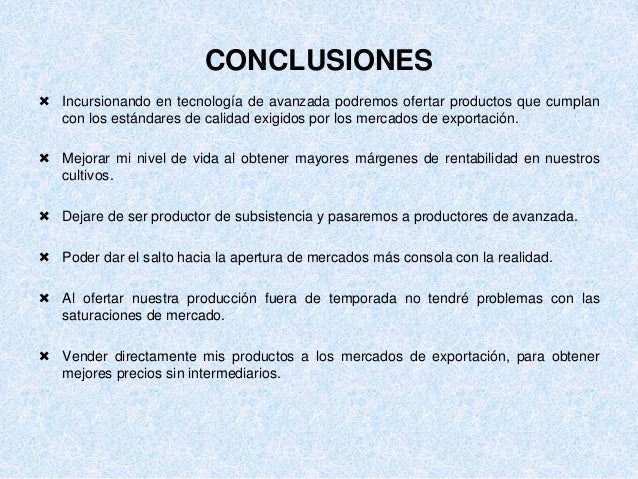 ETAPAS DE UN PLAN DE NEGOCIO