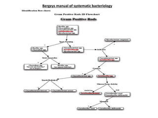 Bergeys manual of systematic bacteriology
 