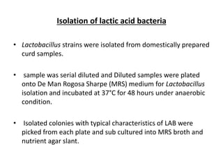 Isolation of lactic acid bacteria
• Lactobacillus strains were isolated from domestically prepared
curd samples.
• sample was serial diluted and Diluted samples were plated
onto De Man Rogosa Sharpe (MRS) medium for Lactobacillus
isolation and incubated at 37°C for 48 hours under anaerobic
condition.
• Isolated colonies with typical characteristics of LAB were
picked from each plate and sub cultured into MRS broth and
nutrient agar slant.
 