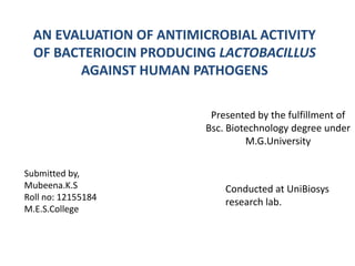 AN EVALUATION OF ANTIMICROBIAL ACTIVITY
OF BACTERIOCIN PRODUCING LACTOBACILLUS
AGAINST HUMAN PATHOGENS
Presented by the fulfillment of
Bsc. Biotechnology degree under
M.G.University
Conducted at UniBiosys
research lab.
Submitted by,
Mubeena.K.S
Roll no: 12155184
M.E.S.College
 
