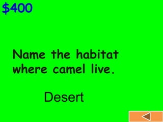 Name the habitat
where camel live.
$400
Desert