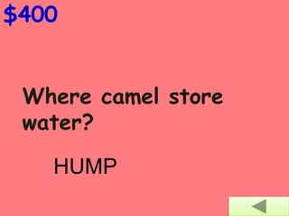 Where camel store
water?
$400
HUMP