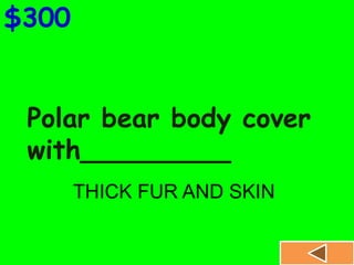 Polar bear body cover
with_________
$300
THICK FUR AND SKIN