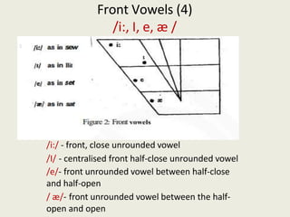 Front Vowels (4)
/i:, I, e, æ /
/i:/ - front, close unrounded vowel
/I/ - centralised front half-close unrounded vowel
/e/- front unrounded vowel between half-close
and half-open
/ æ/- front unrounded vowel between the half-
open and open
 