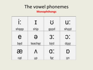 The vowel phonemes
Monophthongs
 