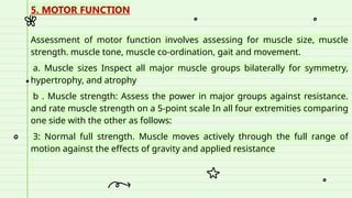 Comprehensive Neurological Examination: Assessment Techniques and ...