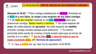 Génesis 6:18-22 18 Pero contigo estableceré mi alianza: Entrarás en
el arca tú y tus hijos, tu mujer y las mujeres de tus hijos contigo.
19 Y de todo ser viviente meterás en el arca una pareja para que
sobrevivan contigo. Serán macho y hembra. 20 De cada especie de
aves, de cada especie de ganados, de cada especie de reptiles
entrarán contigo sendas parejas para sobrevivir. 21 Tú mismo
procúrate toda suerte de víveres y hazte acopio para que os sirvan de
comida a ti y a ellos." 22 Así lo hizo Noé y ejecutó todo lo que le
había mandado Dios. (1ª. fórmula de ejecución)
22 ‫ֹו‬ ֛
‫ת‬ֹ‫א‬ ‫ָּ֥ה‬‫ו‬ ִ‫צ‬ ‫ר‬ ֶׁ֙‫ש‬ֲ‫א‬ ‫ֹל‬‫כ‬ ְּ֠
‫כ‬ ַ‫ח‬ ֹ֑
ֹ‫נ‬ ‫ׂש‬ַ‫ַּ֖ע‬ַ‫ַי‬‫ו‬
‫ים‬ ִַּ֖
‫ֹלה‬ֱ‫א‬
‫ס‬ ‫ה׃‬ ָֽׂ
‫ׂש‬‫ע‬ ‫ָּ֥ן‬‫כ‬ (Gen. 6:22 BHS)
LA REANUDACIÓN: REPETIR- DESPUES DE UNA DIGRESIÓN O AÑADIDO
 