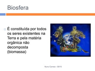Biosfera


   É constituída por todos
    os seres existentes na
    Terra e pela matéria
    orgânica não
    decomposta
    (biomassa)


                         Nuno Correia - 09/10
 