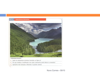 Nuno Correia - 09/10
 