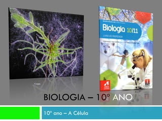 Fungos

BIOLOGIA – 10º ANO
10º ano – A Célula

 