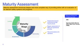 IATA Safety Risk Management Framework for Aviation Excellence | PDF