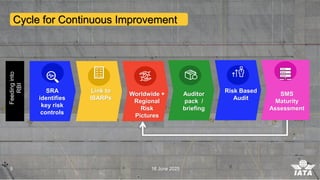 IATA Safety Risk Management Framework for Aviation Excellence | PDF