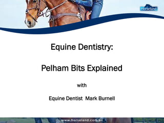 Equine Dentistry:
Pelham Bits Explained
with
Equine Dentist Mark Burnell
 