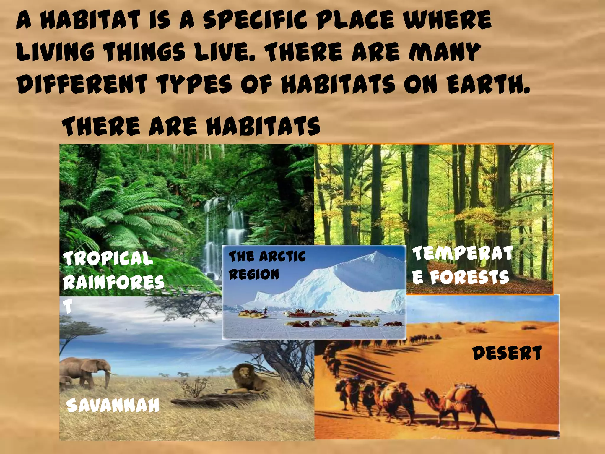 A habitat is a specific place where
living things live. There are many
different types of habitats on Earth.
There are habitats
in:
Tropical
rainfores
t
The Arctic
region
Temperat
e forests
Desert
Savannah