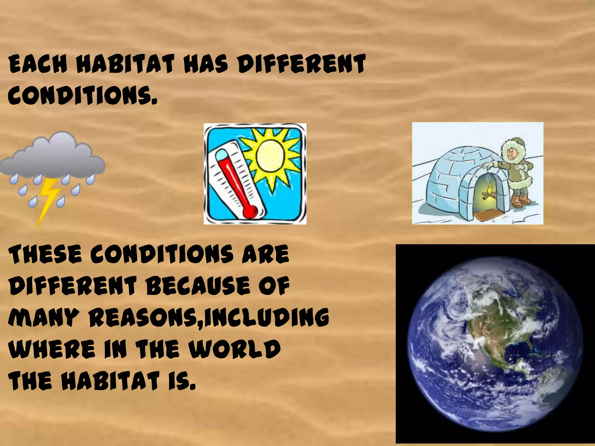 Each habitat has different
conditions.
These conditions are
Different because of
many Reasons,including
where in the world
the habitat is.