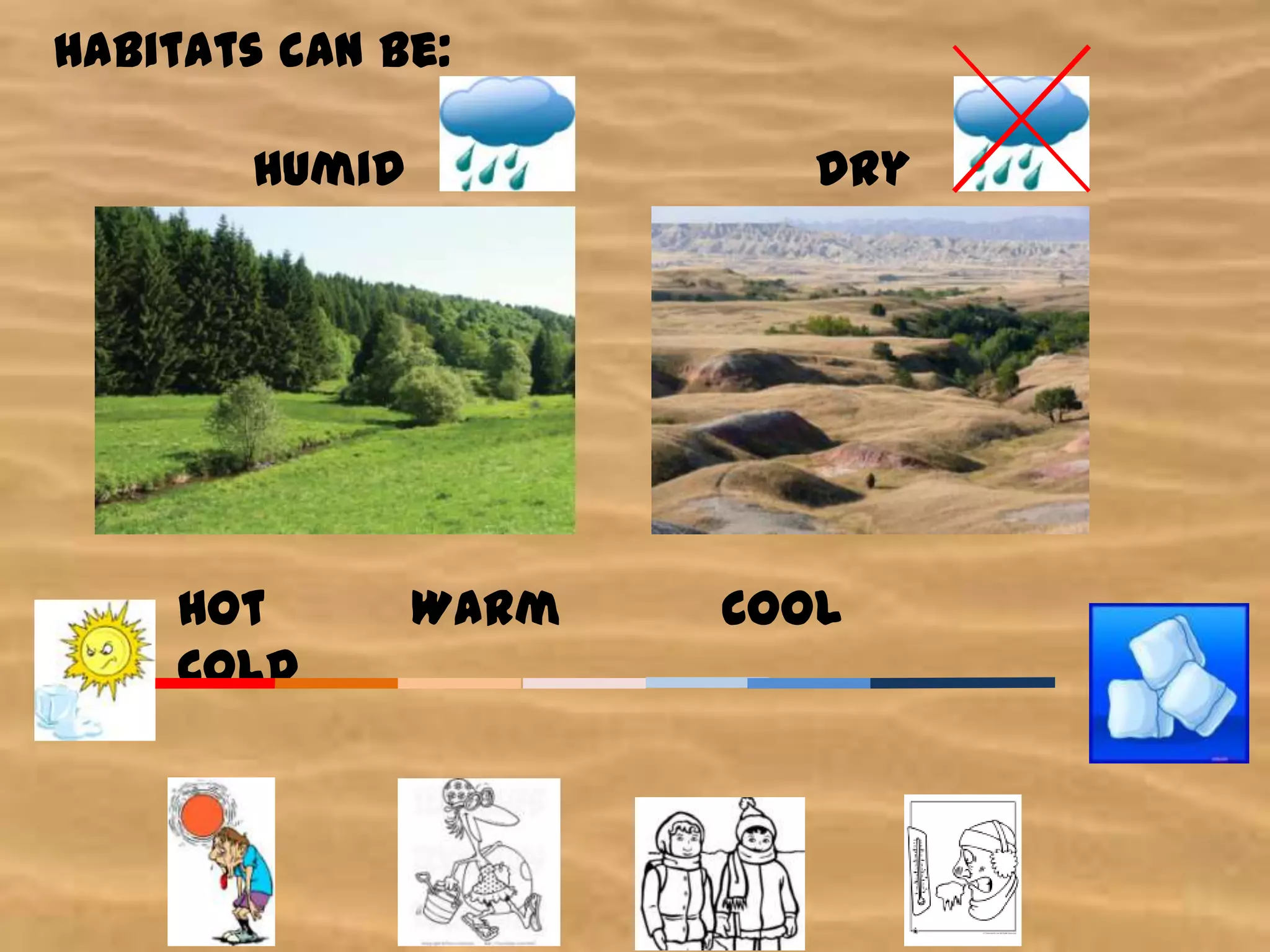 Habitats can be:
Humid
Hot
Cold
Dry
Warm
Cool