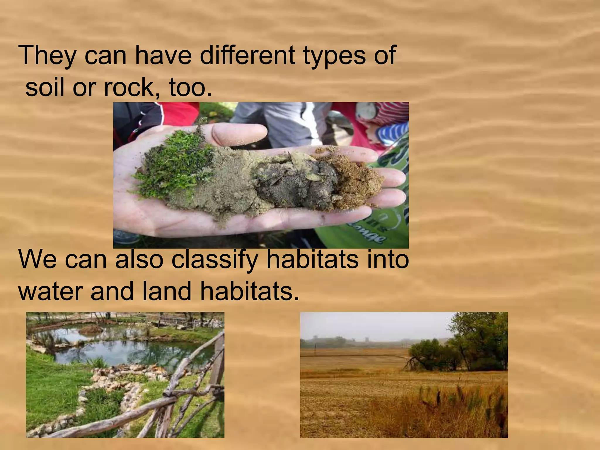 They can have different types of
soil or rock, too.
We can also classify habitats into
water and land habitats.