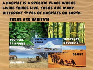 A habitat is a specific place where
living things live. There are many
different types of habitats on Earth.

There are habitats
in:

Tropical
rainfores
t

The Arctic
region

Temperat
e forests

Desert
Savannah

 