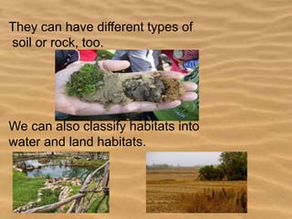 They can have different types of
soil or rock, too.

We can also classify habitats into
water and land habitats.

 
