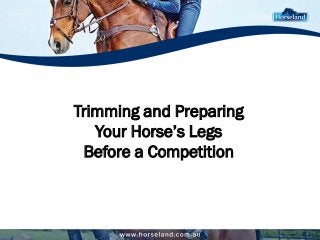 Trimming and Preparing 
Your Horse’s Legs 
Before a Competition  