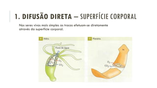 Trocas em seres multicelulares - powerpoint biologia | PDF