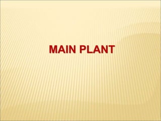 MAIN PLANT
 
