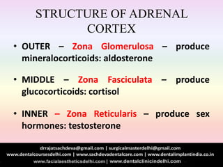 STRUCTURE OF ADRENAL
CORTEX
• OUTER – Zona Glomerulosa – produce
mineralocorticoids: aldosterone
• MIDDLE – Zona Fasciculata – produce
glucocorticoids: cortisol
• INNER – Zona Reticularis – produce sex
hormones: testosterone
 