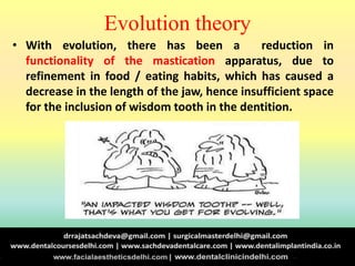 Evolution theory
• With evolution, there has been a reduction in
functionality of the mastication apparatus, due to
refinement in food / eating habits, which has caused a
decrease in the length of the jaw, hence insufficient space
for the inclusion of wisdom tooth in the dentition.
 