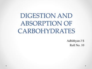DIGESTION AND
ABSORPTION OF
CARBOHYDRATES
Adhithyan J S
Roll No. 10
 