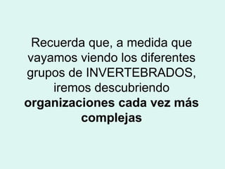 Recuerda que, a medida que
vayamos viendo los diferentes
grupos de INVERTEBRADOS,
    iremos descubriendo
organizaciones cada vez más
         complejas
 