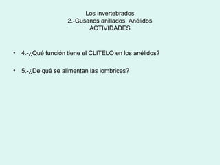 Los invertebrados
                    2.-Gusanos anillados. Anélidos
                           ACTIVIDADES



•   4.-¿Qué función tiene el CLITELO en los anélidos?

•   5.-¿De qué se alimentan las lombrices?
 