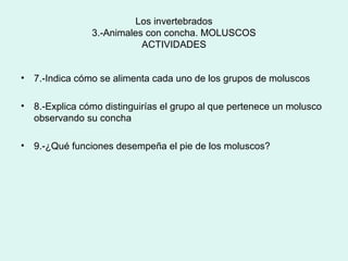 Los invertebrados
                 3.-Animales con concha. MOLUSCOS
                            ACTIVIDADES


•   7.-Indica cómo se alimenta cada uno de los grupos de moluscos

•   8.-Explica cómo distinguirías el grupo al que pertenece un molusco
    observando su concha

•   9.-¿Qué funciones desempeña el pie de los moluscos?
 