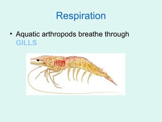 Respiration
• Aquatic arthropods breathe through
  GILLS
 