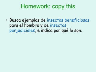 Homework: copy this

• Busca ejemplos de insectos beneficiosos
  para el hombre y de insectos
  perjudiciales, e indica por qué lo son.
 