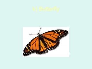 k) Butterfly
 