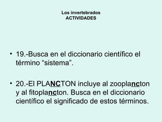 Los invertebrados
                   ACTIVIDADES




• 19.-Busca en el diccionario científico el
  término “sistema”.

• 20.-El PLANCTON incluye al zooplancton
  y al fitoplancton. Busca en el diccionario
  científico el significado de estos términos.
 