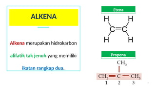 Comprehensive Guide to Alkenes: Structure, Properties, and IUPAC Naming ...