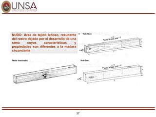 37
NUDO: Área de tejido leñoso, resultante
del rastro dejado por el desarrollo de una
rama cuyas características y
propiedades son diferentes a la madera
circundante
 
