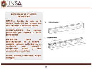 38
DEFECTOS POR ATAQUES
BIOLÓGICOS
MANCHA: Cambio de color de la
madera producido por hongos que
descomponen la estructura leñosa
PERFORACIONES: Son agujeros
producidos por insectos o larvas
perforadoras
PUDRICIÓN: Etapa de
descomposición de la madera ,
presenta cambios evidentes en su
apariencia, peso específico,
composición, dureza y otras
características mecánicas
Larvas, termitas, coleópteros, hongos
xilófagos
 
