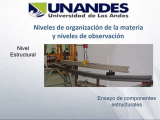 Niveles de organización de la materia
y niveles de observación
Nivel
Estructural
Ensayo de componentes
estructurales
 