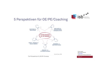 5 Perspektiven für OE/PE/Coaching
Seite 17
CC-by-Lizenz,
Autor: Bernd Schmid
für isb-w.eu
Systemische Professionalität 2013
 