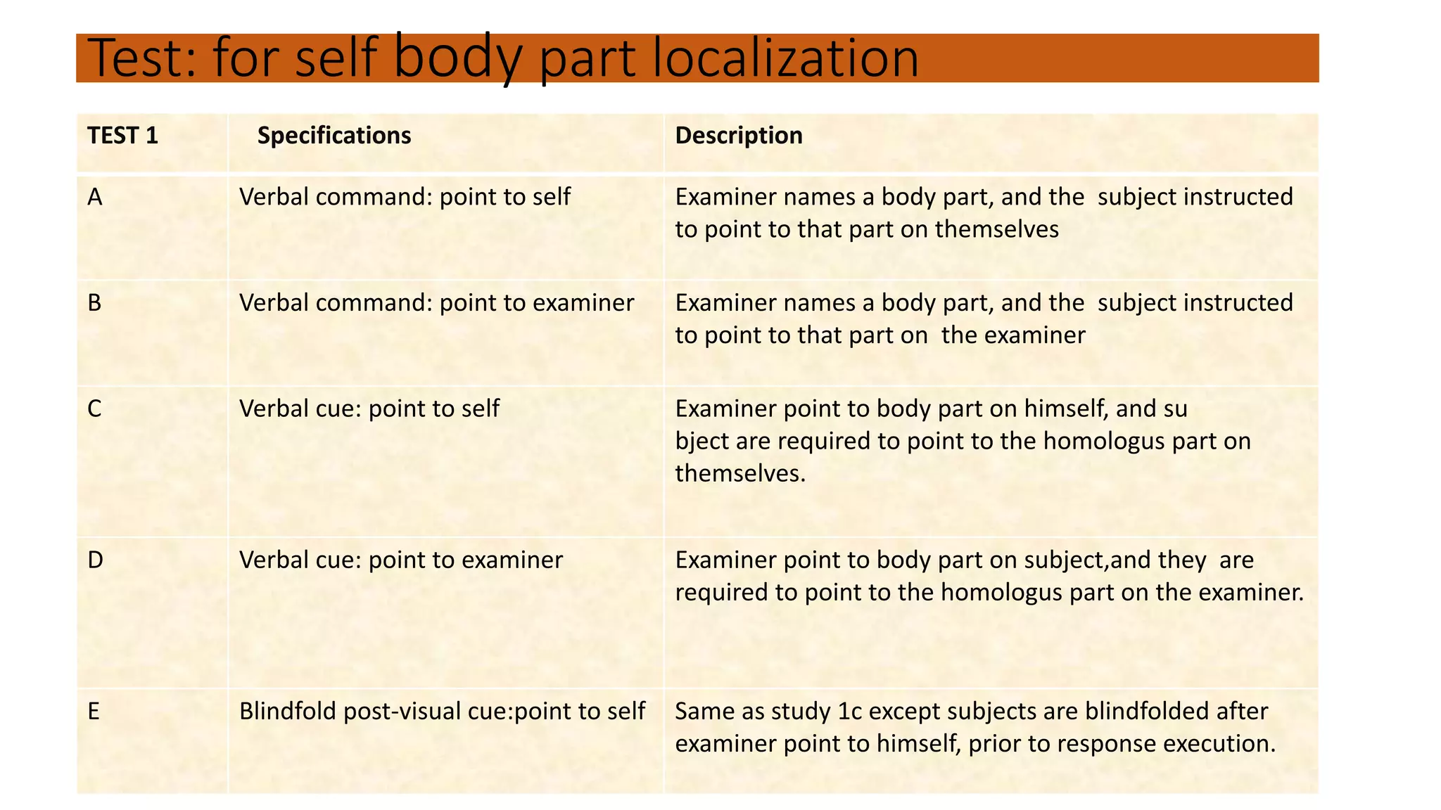 distribution of body schema and spatial relationship | PPTX
