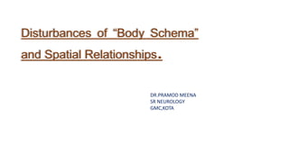 Disturbances of “Body Schema”
and Spatial Relationships.
DR.PRAMOD MEENA
SR NEUROLOGY
GMC,KOTA
 