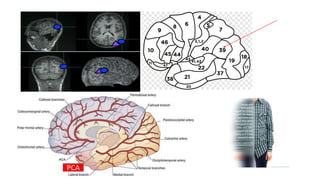 distribution of body schema and spatial relationship | PPTX