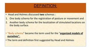 Head Schema distribution of body schema and spatial relationship | PPTX