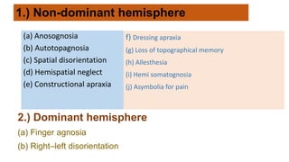 distribution of body schema and spatial relationship | PPTX